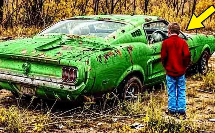 Man Finds Abandoned Mustang in the Forest. Then He finds this inside ➤ blog.thegamesday.com