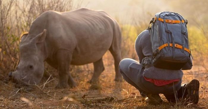 Man Tries To Get Baby Rhino Off The Road. When He Comes Closer, He Realizes Something Is Amiss ➤ blog.thegamesday.com