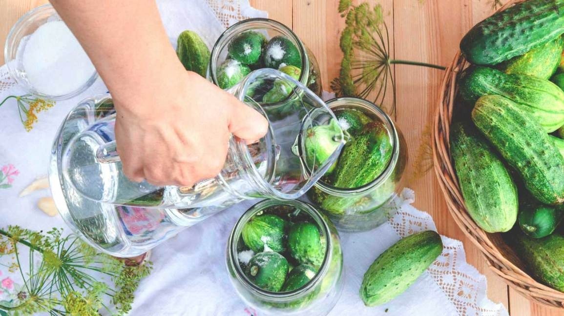 Trust Us on This One, Vinegar is the Solution