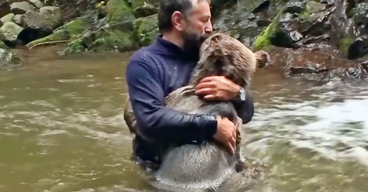 This is what a bear did to the man who saved a bear cub