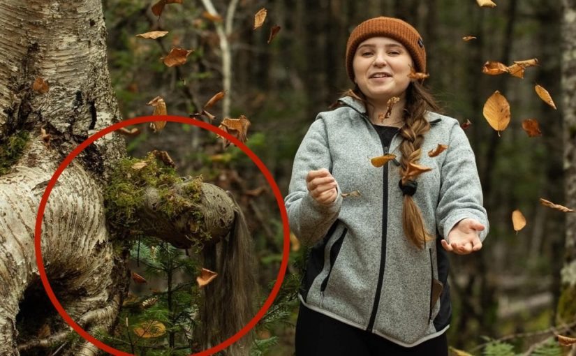 She Thought It Was Just a Strange Tree — Until the Forest Came Alive ➤ blog.thegamesday.com