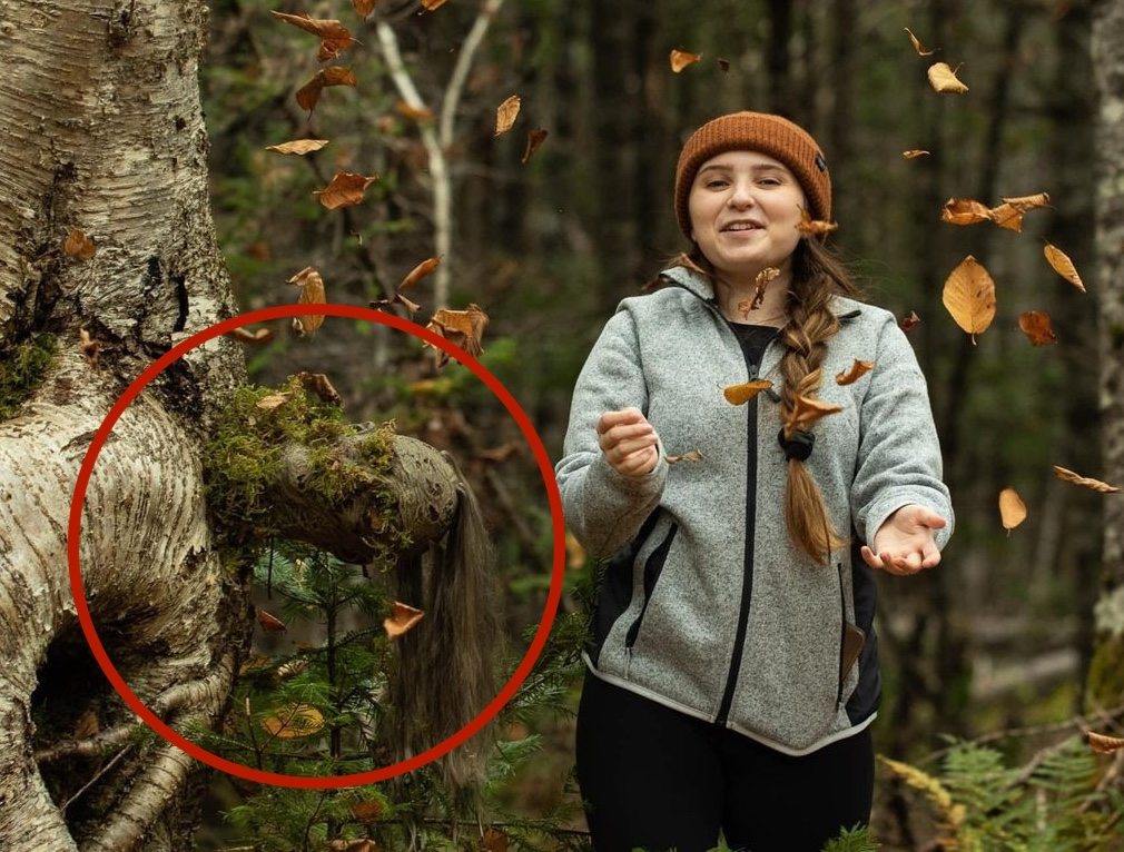 She Thought It Was Just a Strange Tree — Until the Forest Came Alive ➤ blog.thegamesday.com