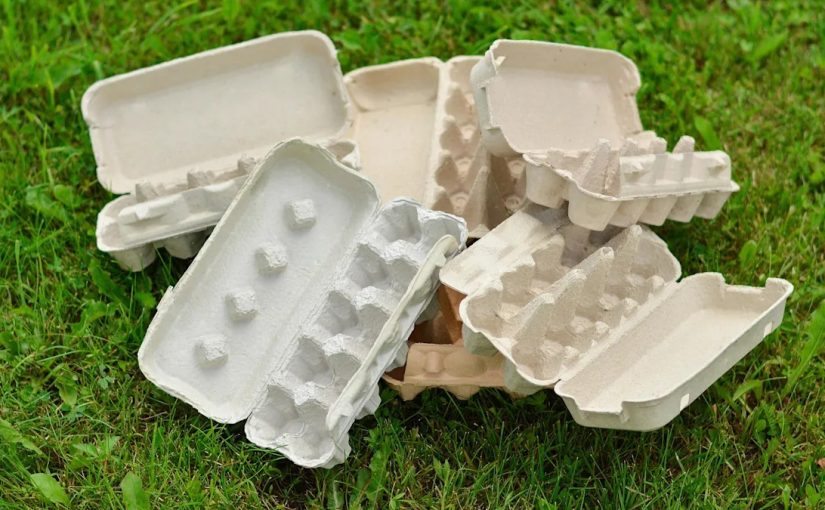Hang an empty egg carton in your front yard… ➤ blog.thegamesday.com