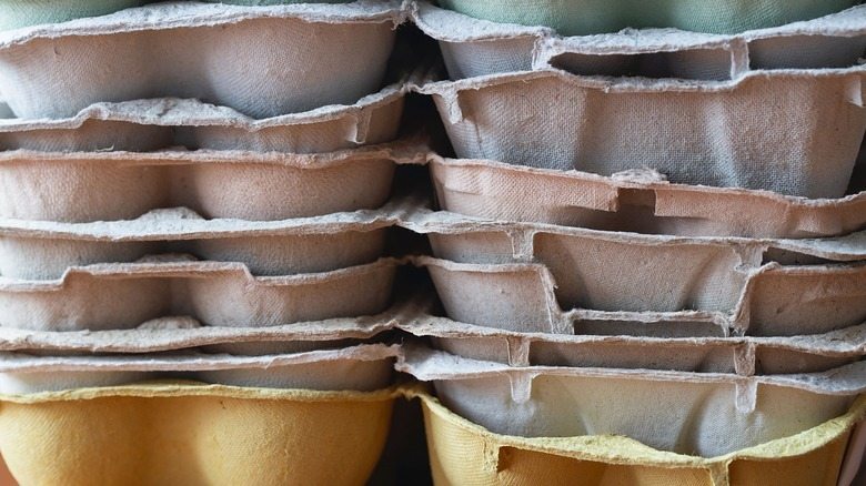 Hang an empty egg carton in your front yard…